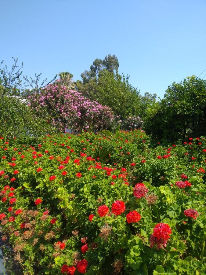 Kiriş Garden Kemer